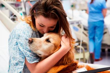 Técnico en Intervención Asistida con Animales online