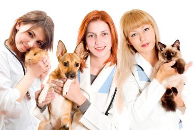 Máster en Enfermería Veterinaria