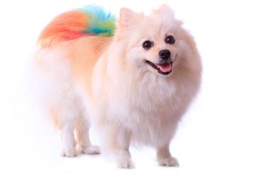 Tintes y cortes de fantasía