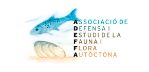Adeffa Logo