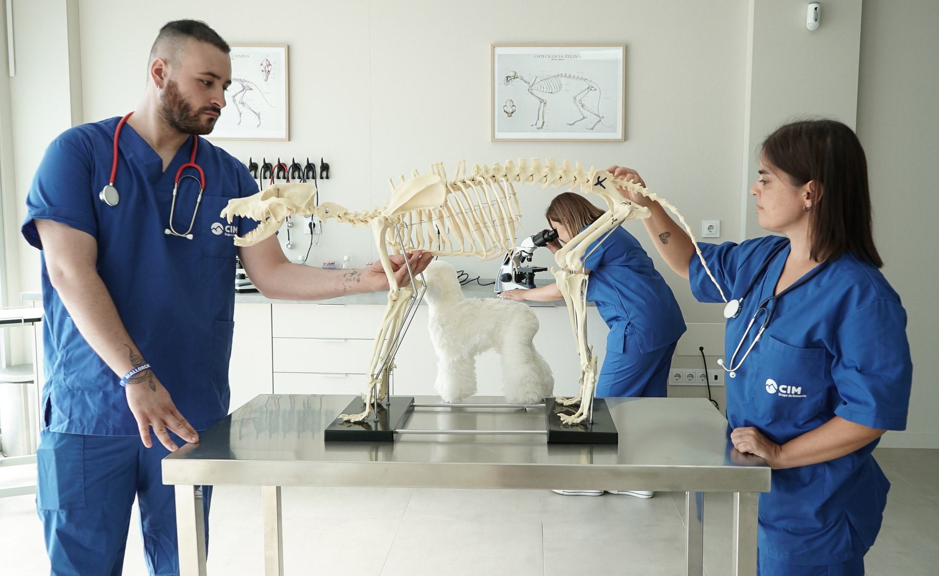 Como se forma un ATV