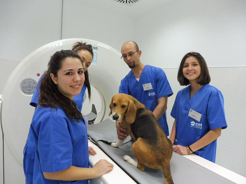 Descubre las ventajas de ser alumno de CIM5